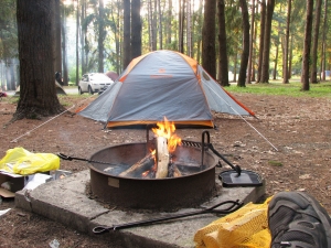 IMG_5907-r.jpg IMG_5907-r.jpg