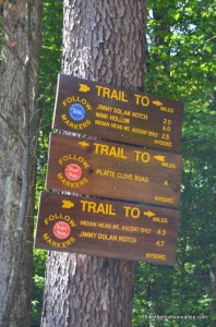 Indian Head Mt. and Twin Mt. | Hike the Hudson Valley