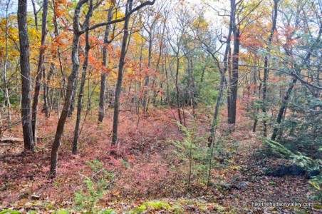 Surprise Lake (via Bearfort Ridge) | Hike the Hudson Valley