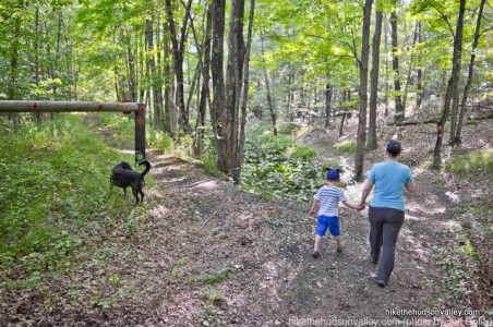 Red Wing Recreation Area | Hike the Hudson Valley