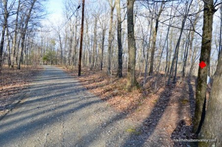 red wing mountain biking