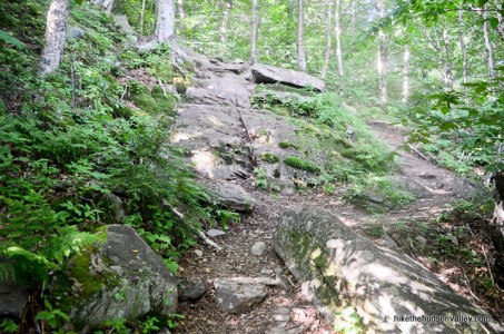 Wittenberg Mountain | Hike the Hudson Valley